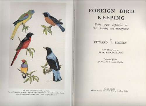 FOREIGN BIRD KEEPING - EDWARD J BOOSEY