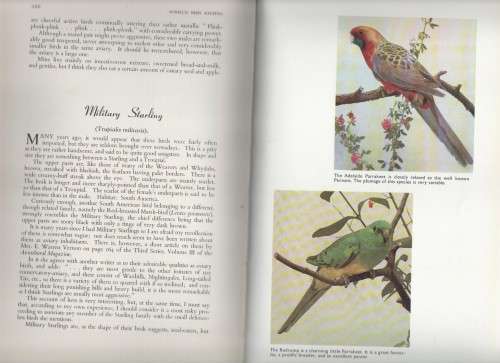 FOREIGN BIRD KEEPING - EDWARD J BOOSEY