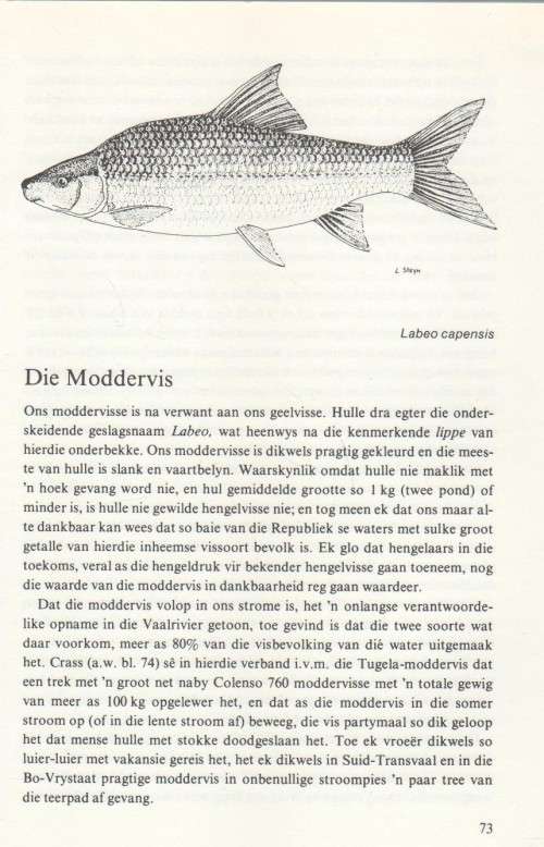VARSWATERHENGEL IN SUID-AFRIKA - B J ENGELBRECHT (3 DE UITGAWE 1982)
