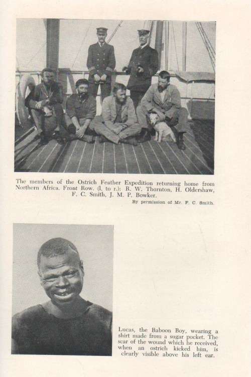 ASSEGAI OVER THE HILLS - F C METROWICH ( 1 ST PUBLISHED 1953)