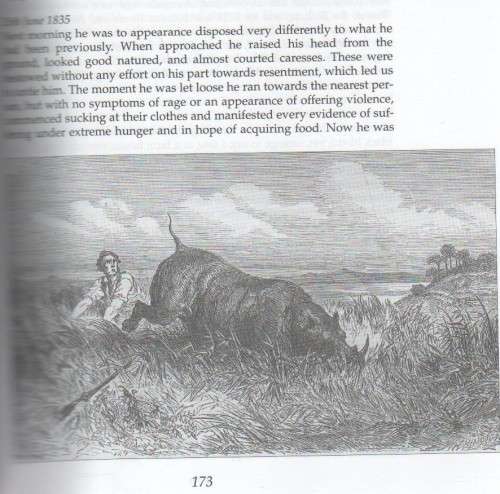 THE WIND MAKES DUST - BEN MACLENNAN (1 ST EDITION 2003)