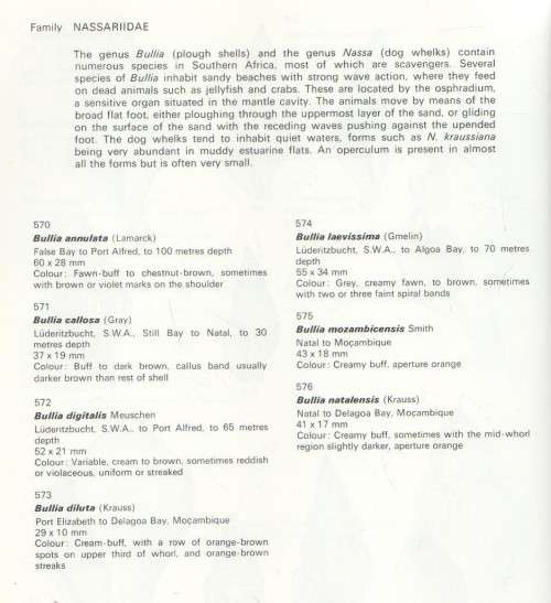 SEA SHELLS OF SOUTHERN AFRICA - GASTROPODS and BRIAN KENSLEY (1 ST EDITION 1973)