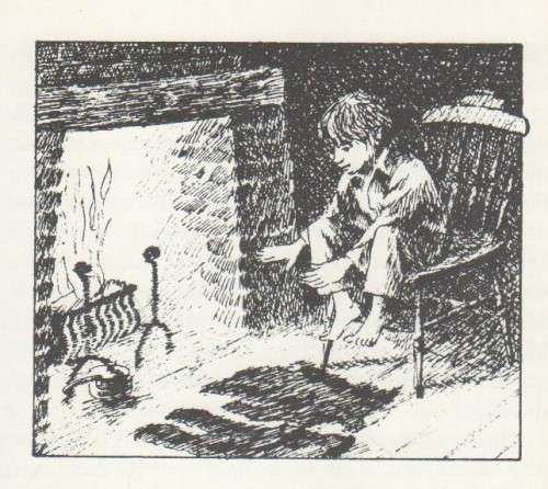 DIE MENS-JAKKALS - ELIZABETH COATSWORTH