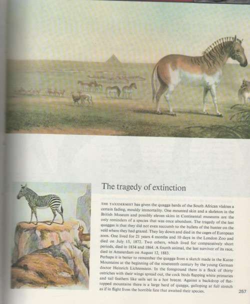 THE CONSERVATION OF OUR HERITAGE - ANDRIES DU PLESSIS (1974)