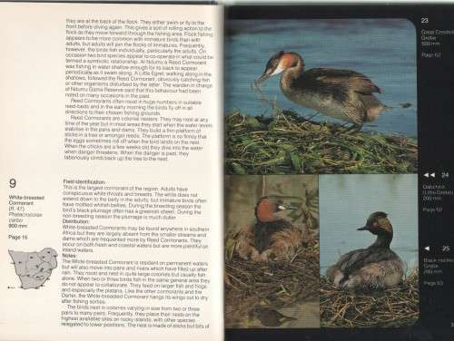 WATERBIRDS OF SOUTHERN AFRICA - PETER GINN& GEOFF MCILLERON (1 ST EDITION1982)