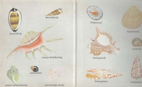 BY DIE SEE, EERSTE BIBLIOTEEK 4 - NETA TOERIEN (1970)