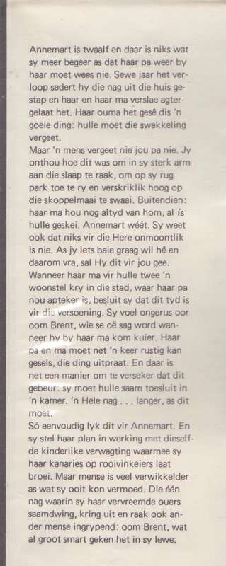 TWEE OM TE SLAAP - ELSABE STEENBRG (1 STE UITGAWE 1978)