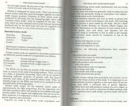 THE VEGETARIAN BABY - SHARON YNTEMA (1 ST PUBLISHED 1981)