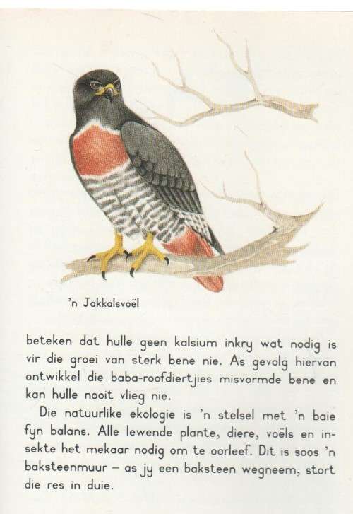 ROOFVOELS , LEER-IS-PRET , 7 -9 JAAR  - KAY FISH (1 STE UITGAWE 1989)