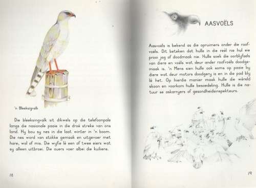 ROOFVOELS , LEER-IS-PRET , 7 -9 JAAR  - KAY FISH (1 STE UITGAWE 1989)