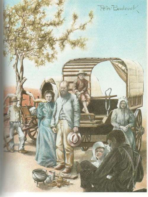 THE ILLUSTRATED BOSMAN - JONATHAN BALL PUBLISHERS, JOHANNESBURG