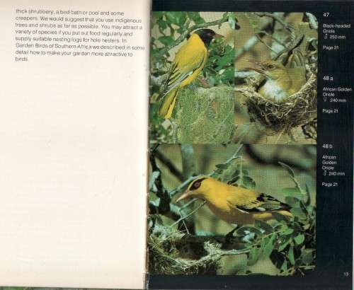 3X GARDEN BIRDS OF SOUTHERN AFRICA - PETER GINN & GEOFF MCILLERON