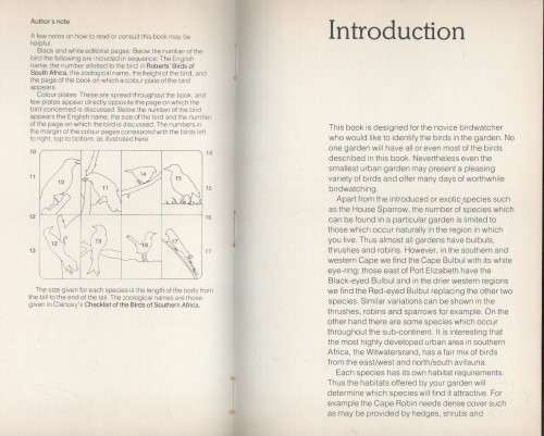 3X GARDEN BIRDS OF SOUTHERN AFRICA - PETER GINN & GEOFF MCILLERON