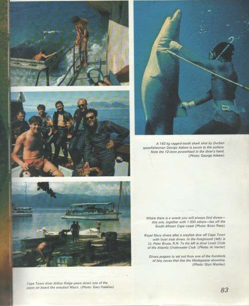 UNDERWATER AFRICA - AL J VENTER (1971)