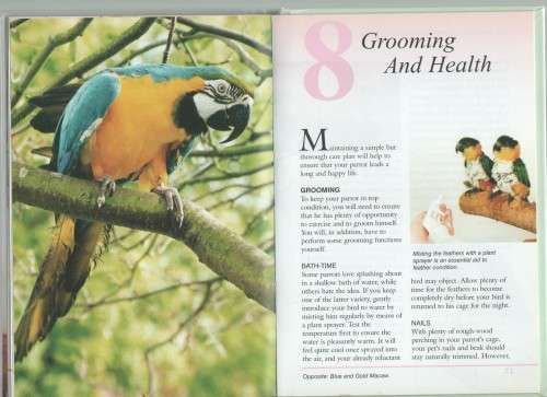 PARROT TRAINING AND BEHAVIOUR - ANNETTE DE SAULLES (1 ST PUBLISHED 2002)