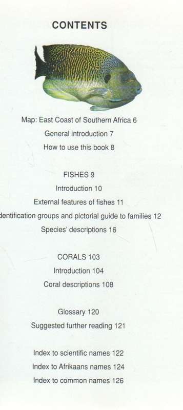 REEF FISHES & CORALS, EAST COAST OF SOUTHERN AFRICA - DENNIS KING (1 ST PUBLISHED 1996)