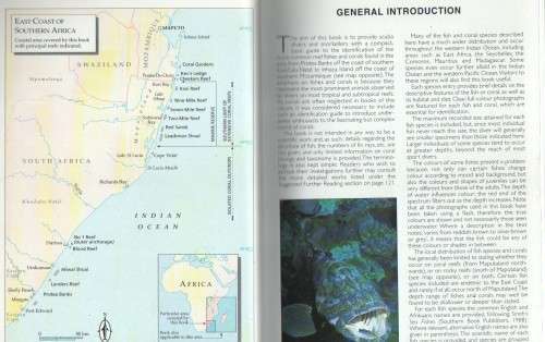 REEF FISHES & CORALS, EAST COAST OF SOUTHERN AFRICA - DENNIS KING (1 ST PUBLISHED 1996)