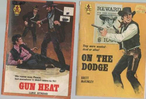 TWO WINCHESTER WESTERNS - CAFE BOOKS