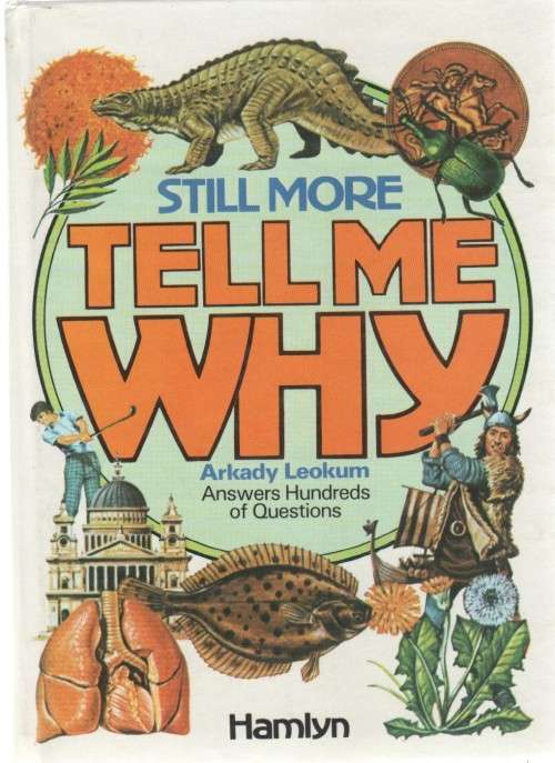 STILL MORE , TELL ME WHY - ARKADY LEOKUM (1990)