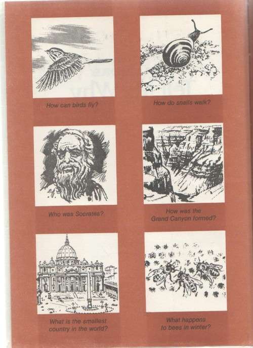 STILL MORE , TELL ME WHY - ARKADY LEOKUM (1990)