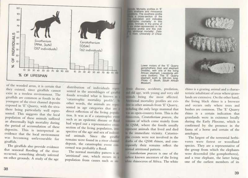 LANGEBAANWEG, A RECORD OF PAST LIFE - Q B HENDLEY (1982)