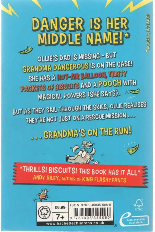 GRANDMA DANGER US AND THE DOG OF DESTINY - KITA MITCHELL (1 ST PUBLISHED 2018)