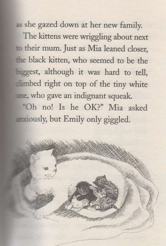 THE KITTEN NOBODY WANTED - HOLLY WEBB (STRIPES - 2011)