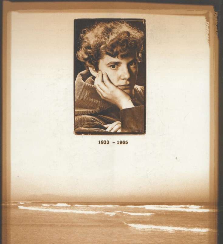 INGRID JONKER BEELD VAN 'N DIGTERSLEWE - PETROVNA METELERKAMP (1 STE UITGAWE 2003)