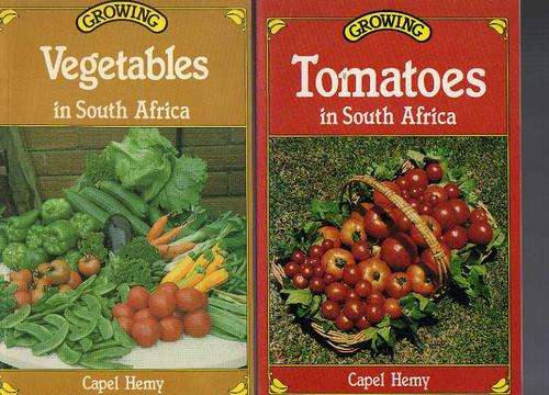 Growing Tomatoes in South Africa & Growing Vegetables in South Africa - Capel Hemy