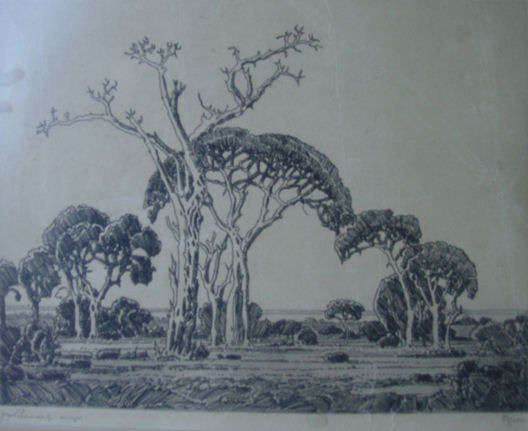 PIERNEEF