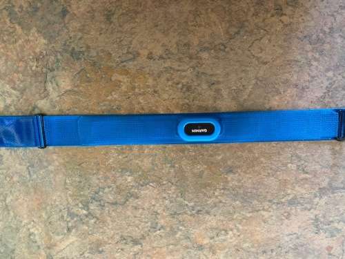 GARMIN SWIM HRM