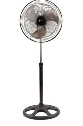 Fans