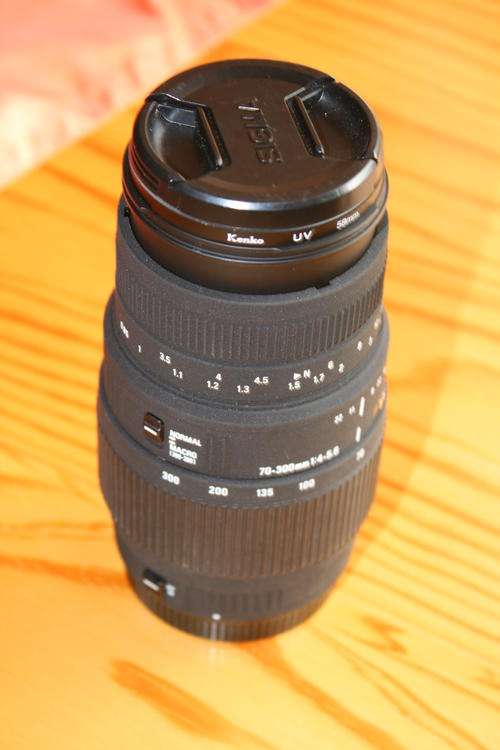 Sigma 70-300 DG Macro Lens - Non APO - Canon Mount