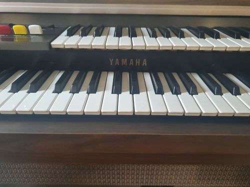 Yamaha BK-5