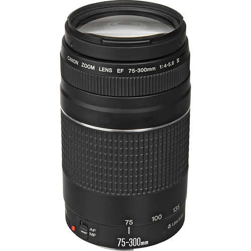 Canon 1300D Twin Lens Bundle