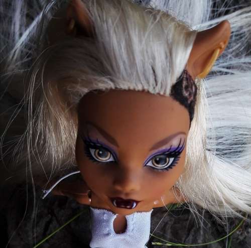 Monster High Clawdeen Wolf Doll rerooted (half custom)