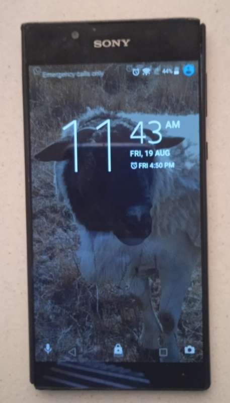 Sony Xperia L1