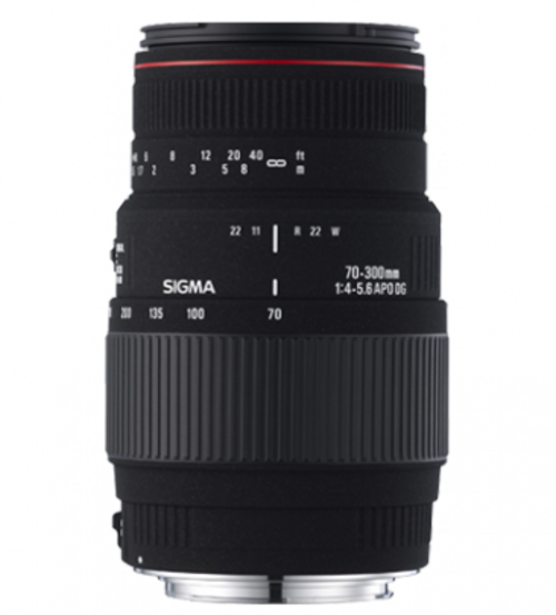 sigma70-300mm 1:4-5.6 DG MACRO lens (canon mount)