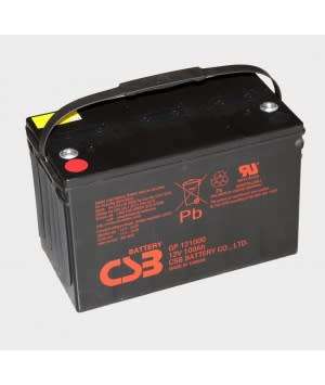 100Ah 12V CSB Battery