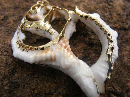 CONCH SHELL PENDANT