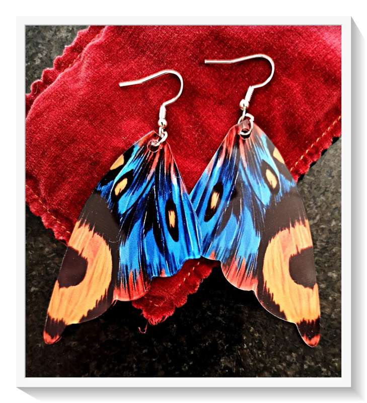 Fairly Large Bright and Colourful Pair of Butterfly Wing Earrings FOR HER