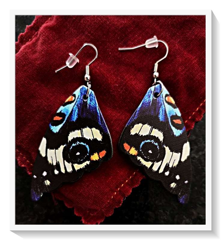 Unique and Vibrant Plastic Butterfly Earrings For Him or Her