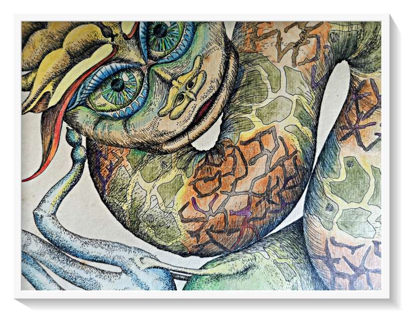 Vintage Color Drawing UNTITLED of a Medusa Like Creature by 1980s Phantastic Surrealist Artist Wally