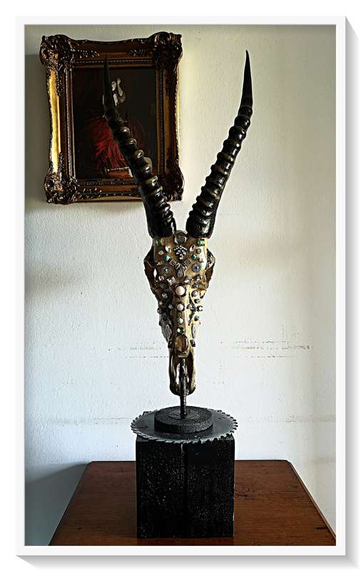 Deadly Decorum presents Beautiful Beast is Blesbuck antelpoe skull and horns display with solid base