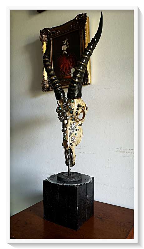 Deadly Decorum presents Beautiful Beast is Blesbuck antelpoe skull and horns display with solid base