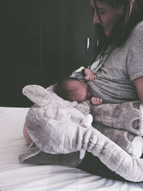 Elephant support pillow