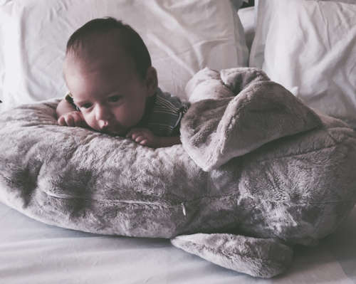 Elephant support pillow