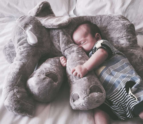 Elephant support pillow