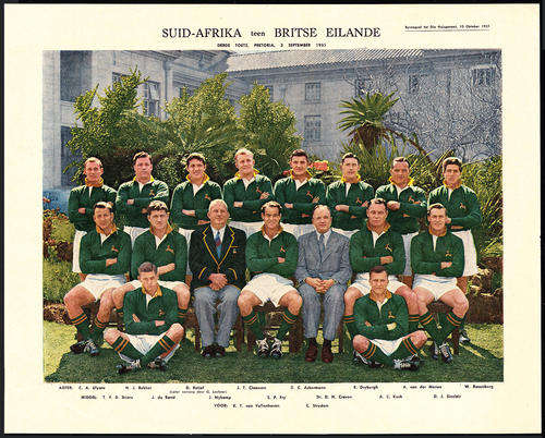 SPRINGBOK RUGBY 1955 LIONS TOUR PHOTOS X3 VINTAGE SOUTH AFRICA
