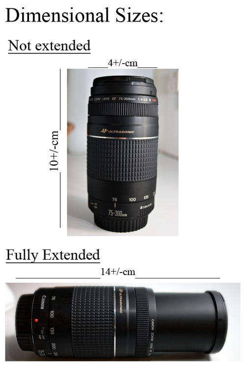 Canon EF 75-300mm f/4-5.6 III USM Telephoto Zoom Lens for Canon SLR Cameras